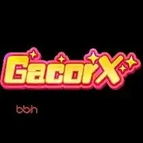 Panduan Lengkap Aplikasi gacorx untuk Pemula